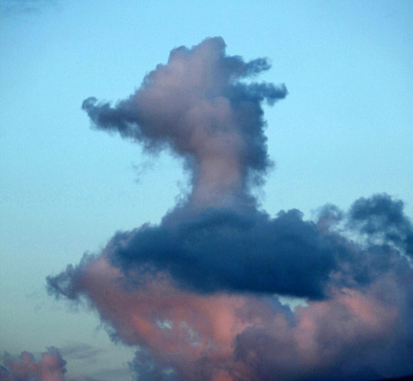 grilled cheese humor